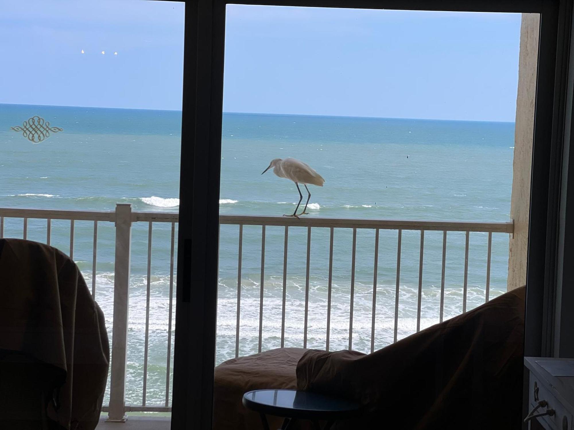 Ponce De Leon Towers Daire New Smyrna Beach Dış mekan fotoğraf