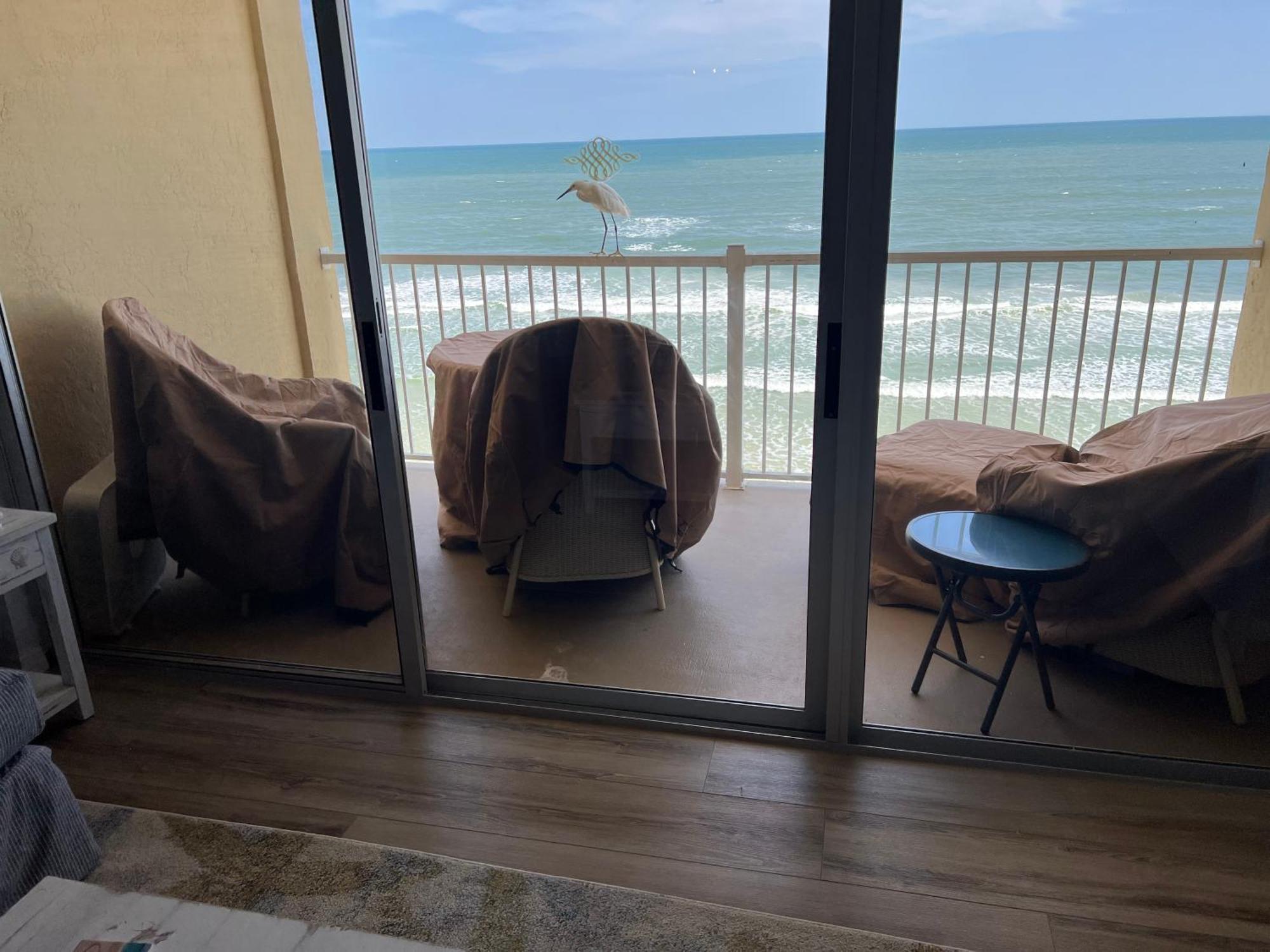 Ponce De Leon Towers Daire New Smyrna Beach Dış mekan fotoğraf
